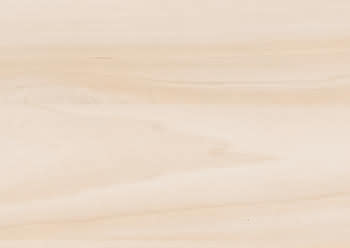 205846 #1
