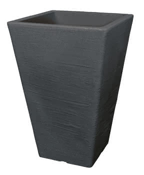 247846 #1