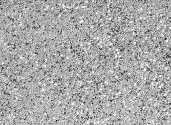 288581 #1