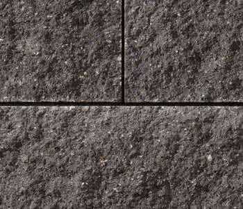 293653 #1