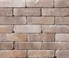 BiMuro Mauerelement gerumpelt 25x25x20 cm, muschelkalk