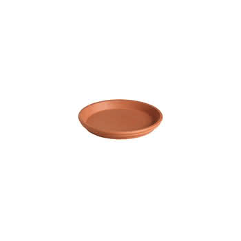 302833 #1