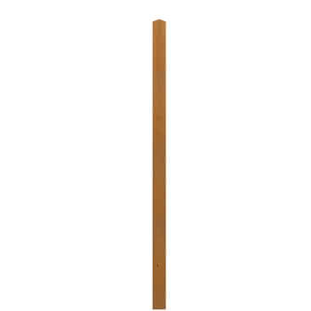 303291 #1
