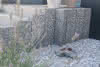 Granitpalisade Dolce Oscuro 10x25x75 cm, 6 seitig gestockt