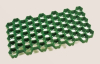 GOLPLA-Maxi Rassengitterpl.64x33x3,8cm grün