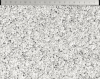 Betonpflaster Tolna 30x20x6 cm kugelgestrahlt, granitweiß