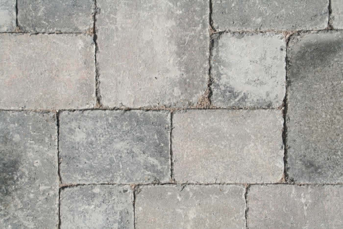 319474 #1