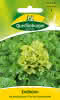 Endivie, Escariol grüner 