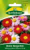 Bunte Margerite, Robinsons Riesen 