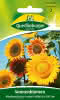 Sonnenblume, Mischung hoher Sorten 