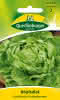 Kopfsalat Mai Wunder 