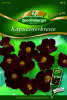 Kapuzinerkresse, Black Velvet Premium