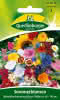 Sommerblumen, Schmücke Garten und Heim 