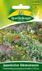 Japanischer Blumenrasen, Sommerblumenmsg 