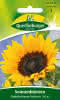 Sonnenblume, Einfache Riesen 