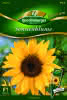 Sonnenblumen, Eversun Premium