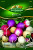Radies, Ostereier Mischung Premium