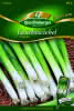 Lauchzwiebel Premium Premium