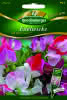 Edelwicken, Old Sweet Scent Premium