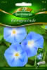 Königswinde, Heavenly blue Premium