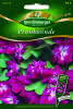 Prunkwinde, Sunrise Serenade Premium