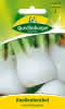 Knollenfenchel, Fino 