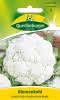 Blumenkohl, Erfurter Zwerg 