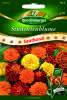 Studentenblumen, niedrige Mischung Premium Saatband