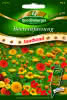 Beeteinfassung, rot-gelbe Mischung Premium Saatband