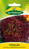 Pflücksalat Lollo rossa 