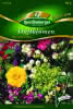 Duftblumenmischung Premium