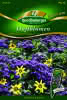 Duftblumen, Schokolade mit Sahne Premium