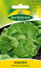 Kopfsalat, Attractie 