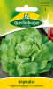 Kopfsalat, Kagraner Sommer 2 