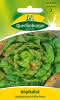 Kopfsalat, Maikönig 