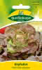 Kopfsalat, Pirat 