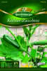 Kletter-Zucchini Black Forest Premium