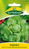 Kopfsalat Muck 