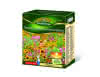 Sommerblumenmischung (FS) 100g Premium