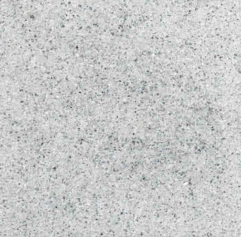 350313 #1