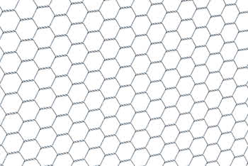 362034 #1