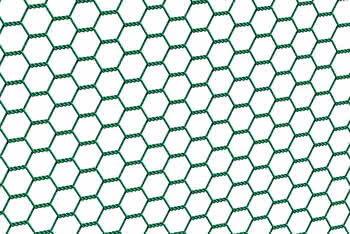 362035 #1