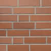 Klinker KMz 28-2,2-NF voll BWK 130/19 Heide, rot nuanciert glatt