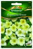 Kapuzinerkresse Milk Maid Premium