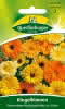 Ringelblume, Fiesta Gitana Mischung 