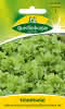 Salat Schnitt-verde ricciolina 