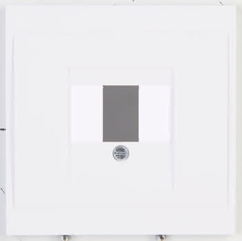 390886 #1