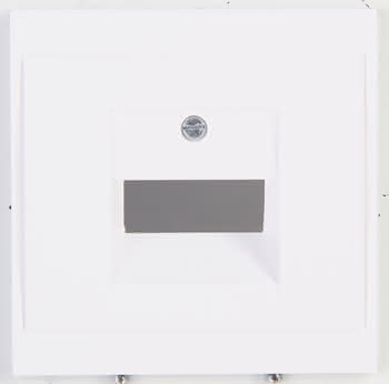 390887 #1
