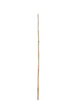 392226 #1