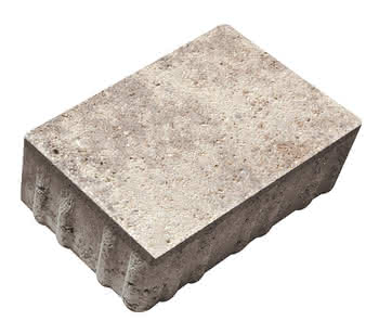 392540 #1
